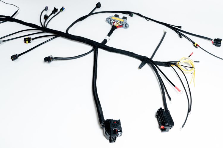 harnais électrique